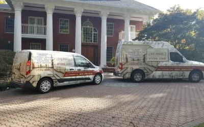 We Really, Really Love Marble