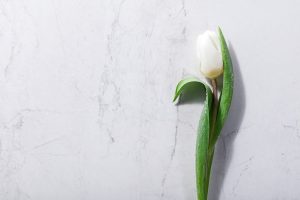 single white spring flower on a marble background  300x200 - AVOIDING MARBLE CARE MISTAKES